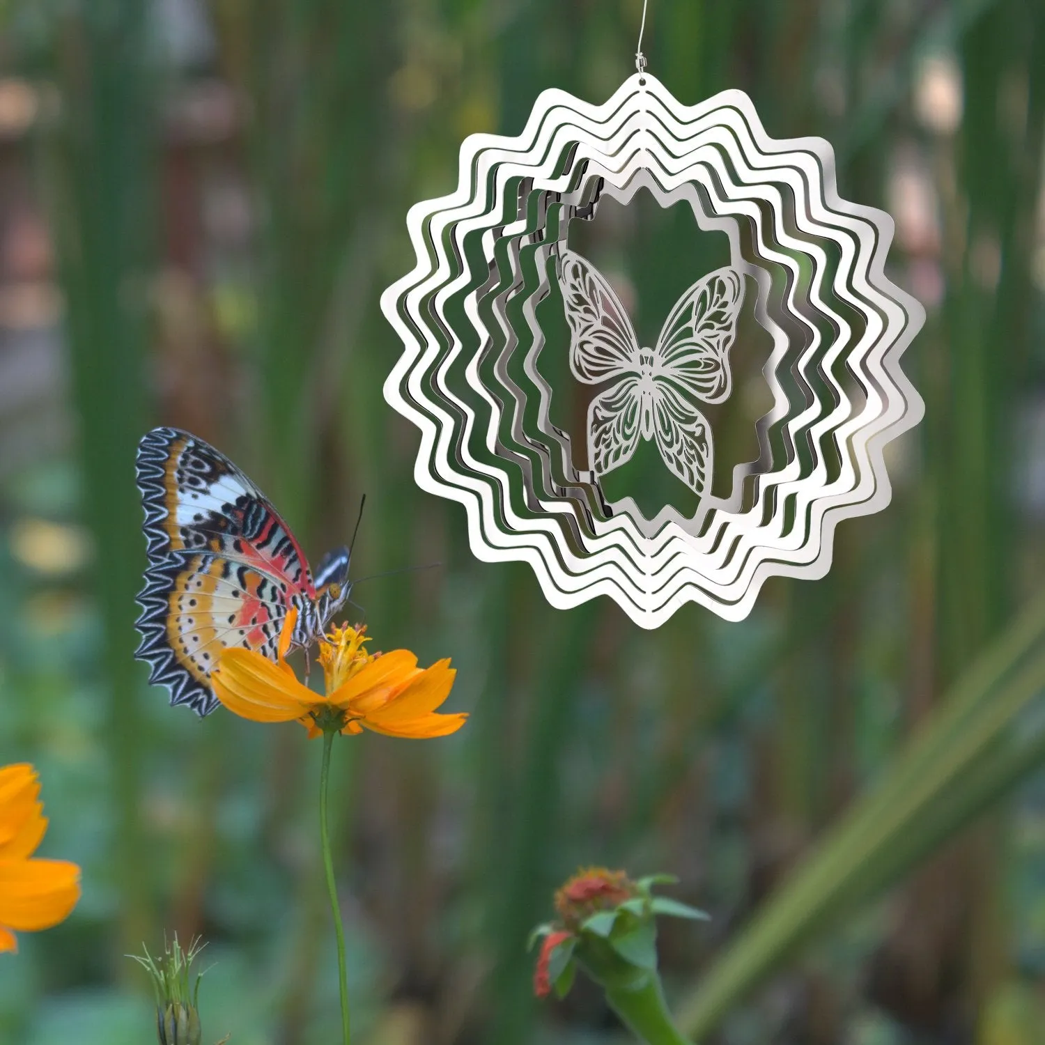 Shimmers - Butterfly
