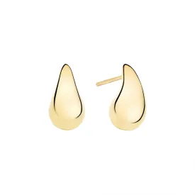 Teardrop Earrings